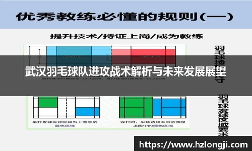 武汉羽毛球队进攻战术解析与未来发展展望